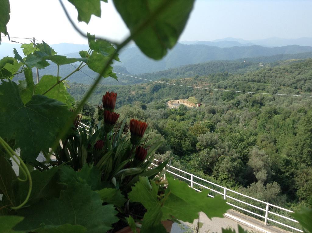 Bed & Breakfast Ca' Di Vissai Arnasco Exterior photo